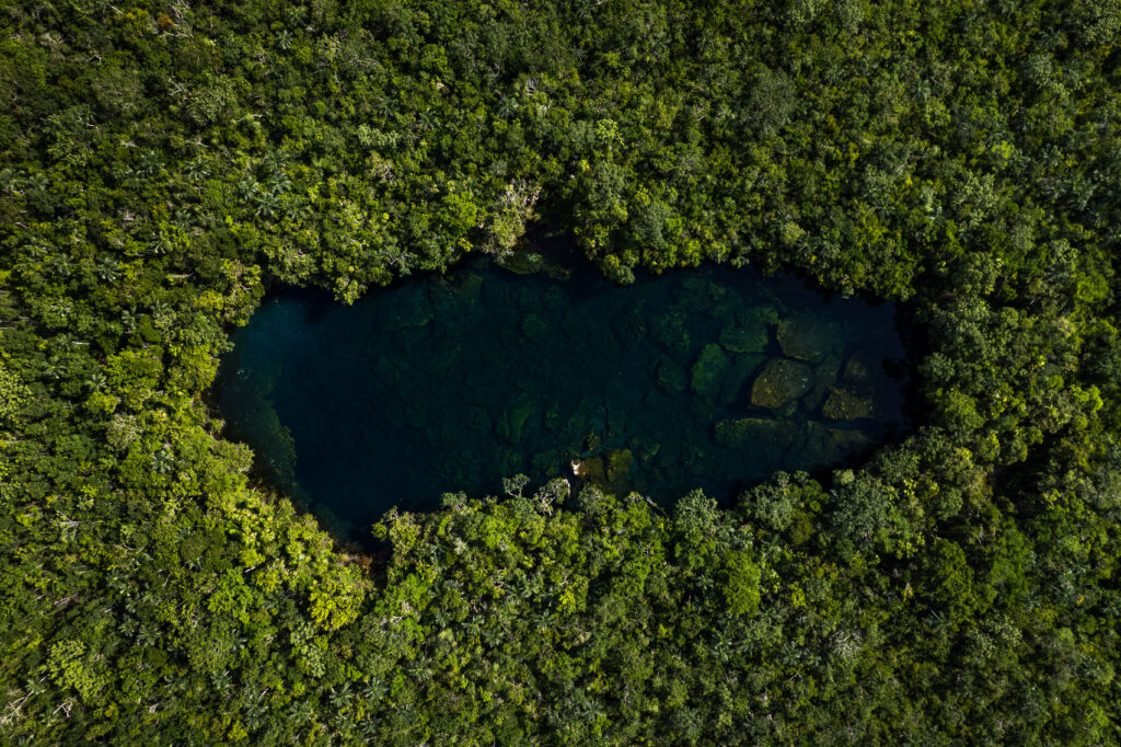 DJI_0798-1.jpg